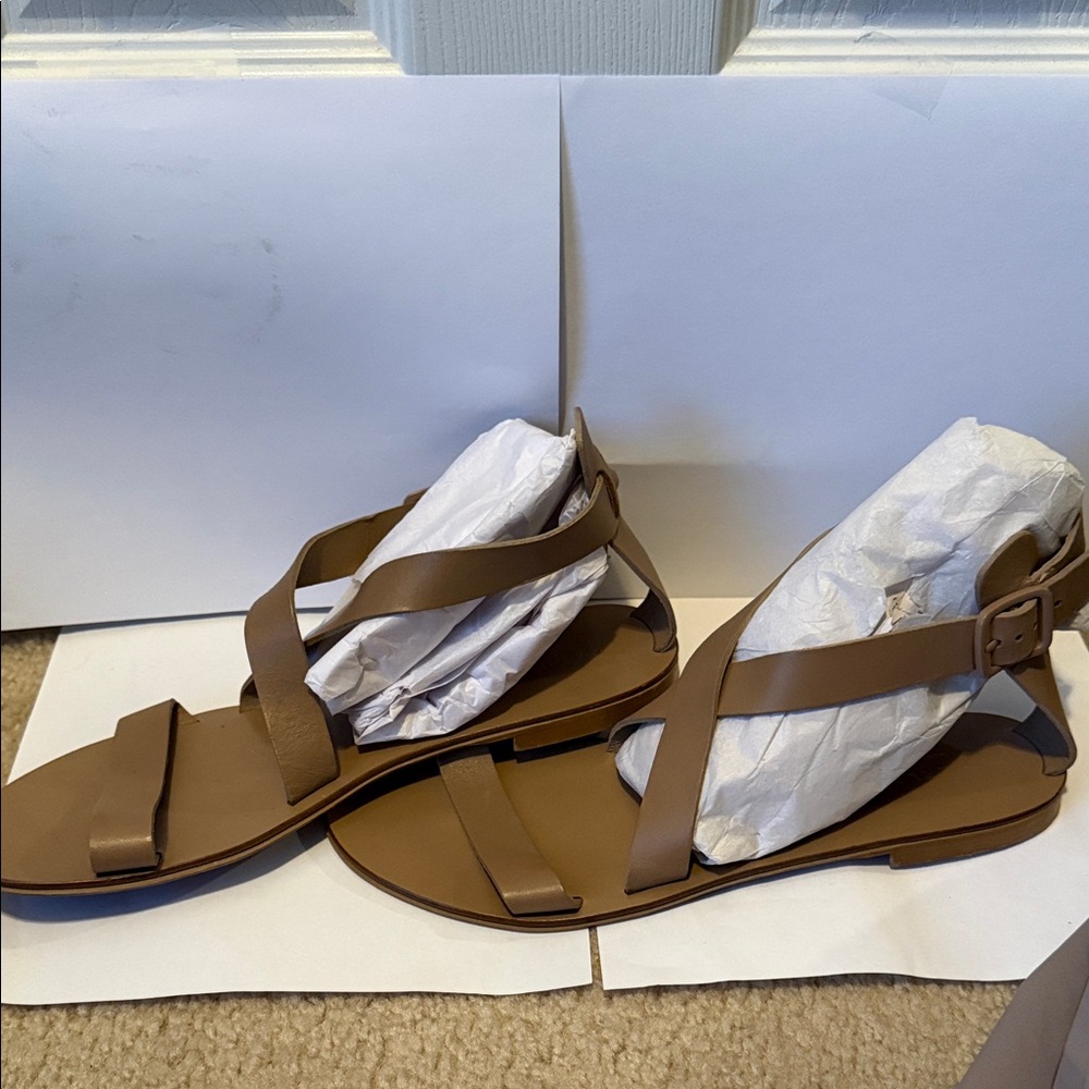 Everlane Elegant Tan Strappy Sandals Sz 10